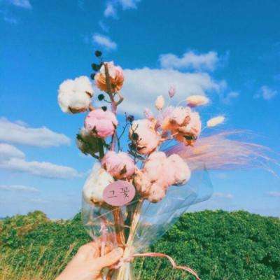 安徽房产网截图